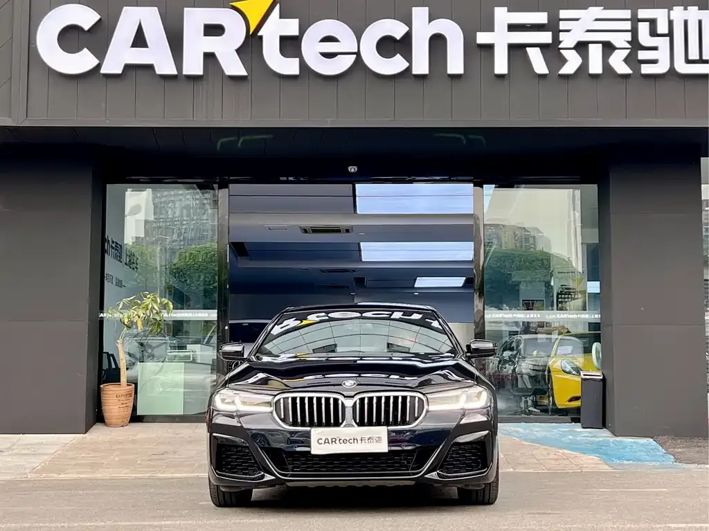 BMW 5 Series 2021 из CN, фото 2