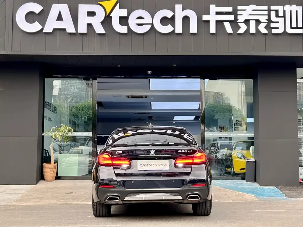 BMW 5 Series 2021 из CN, фото 5