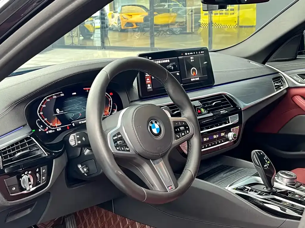 BMW 5 Series 2021 из CN, фото 9