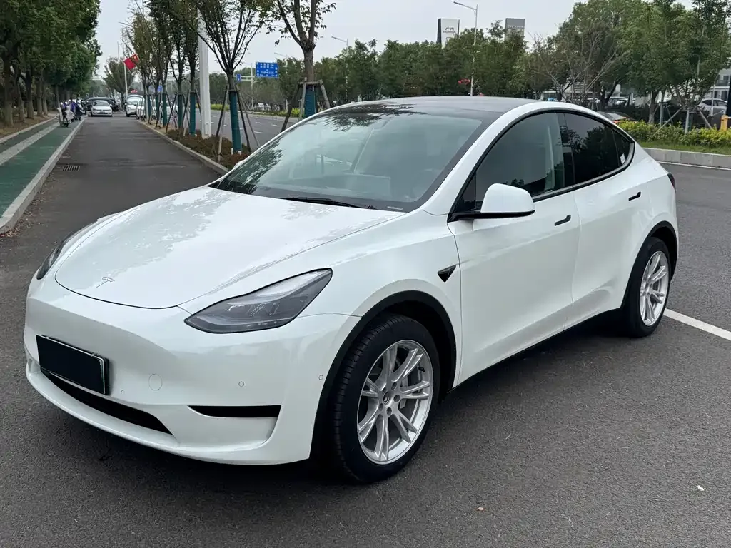 Tesla Model Y — фото 1