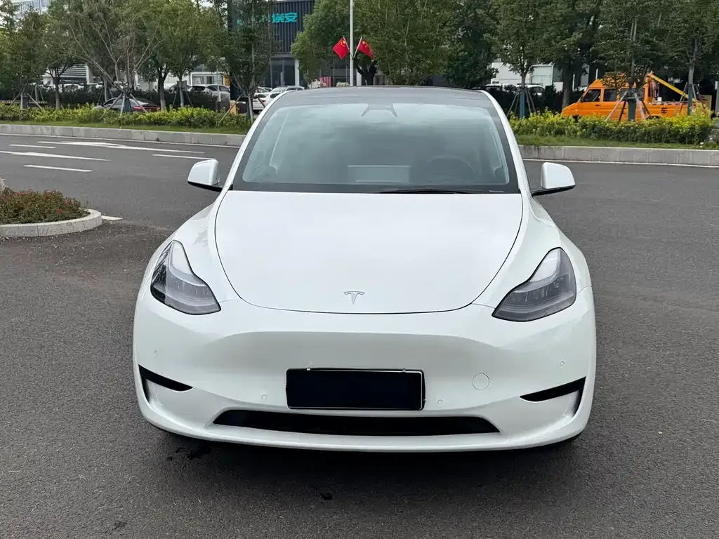 Tesla Model Y — фото 2