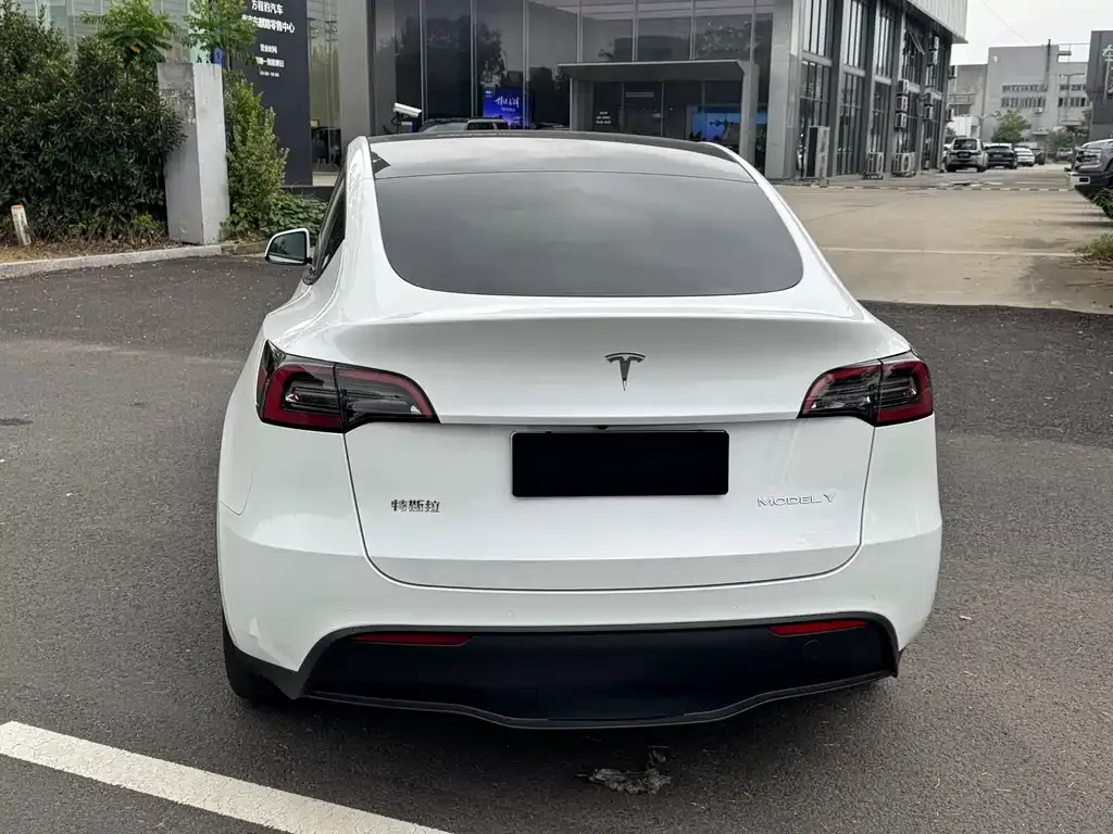 Tesla Model Y — фото 8