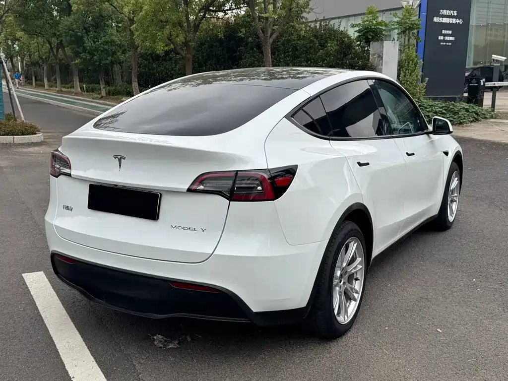 Tesla Model Y — фото 9