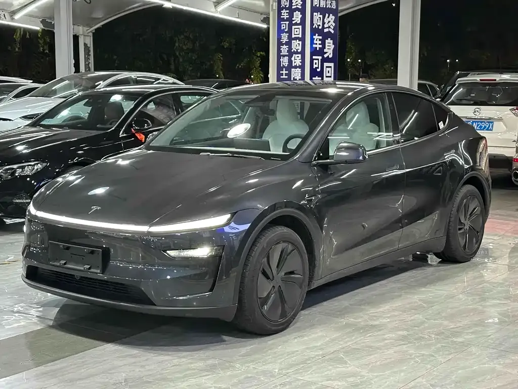 Tesla Model Y 2025 из CN, фото 1