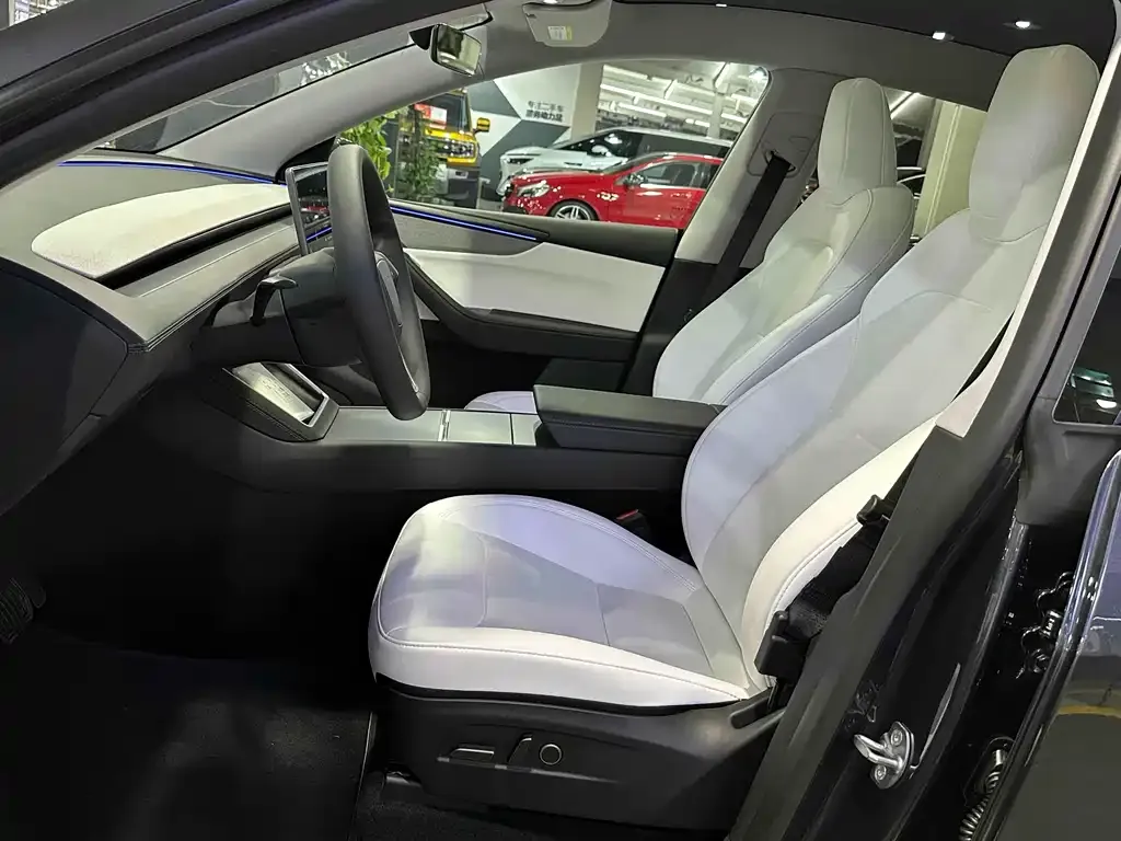 Tesla Model Y 2025 из CN, фото 8