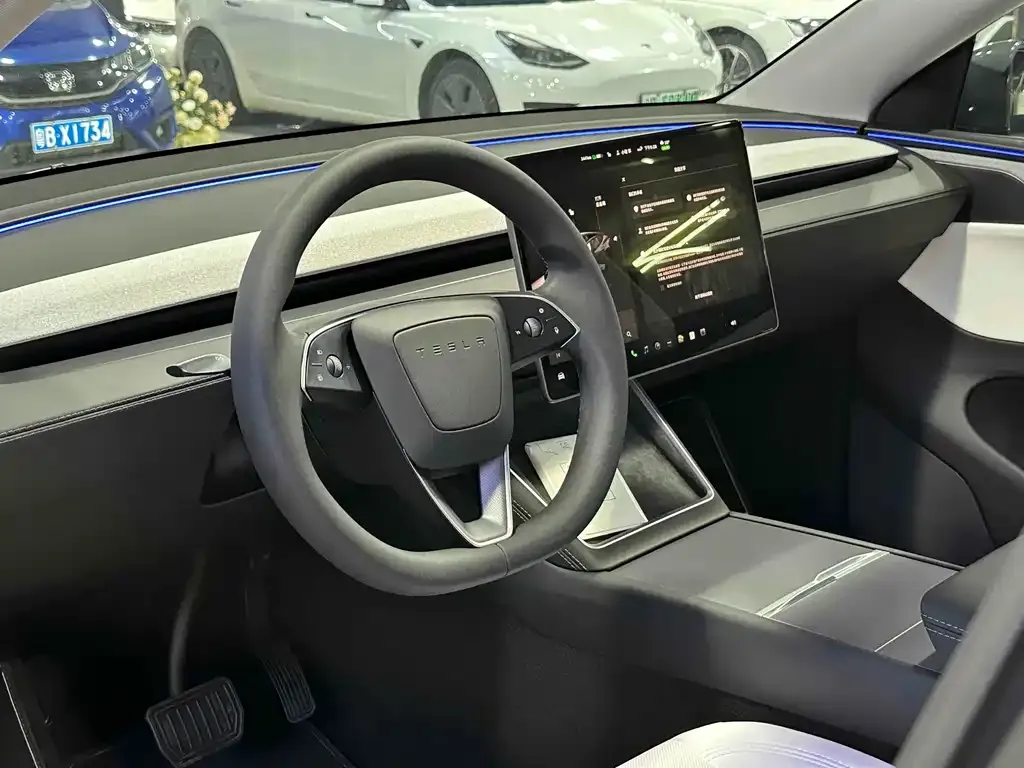 Tesla Model Y 2025 из CN, фото 9