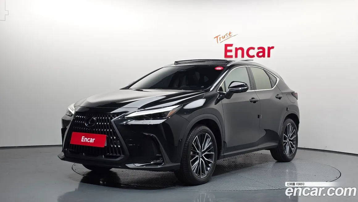 Lexus NX 2025 из KR, фото 1