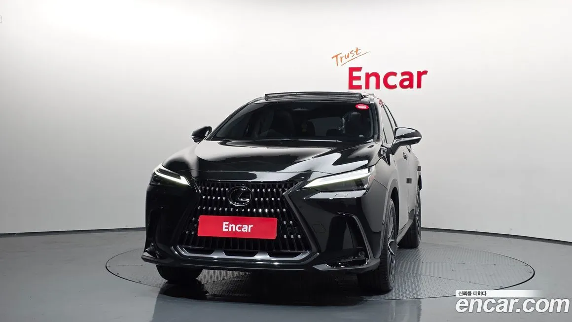Lexus NX 2025 из KR, фото 3