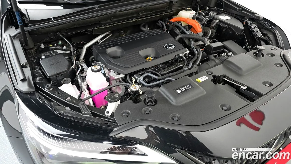 Lexus NX 2025 из KR, фото 6