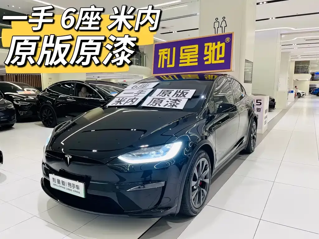 Tesla Model X — фото 1