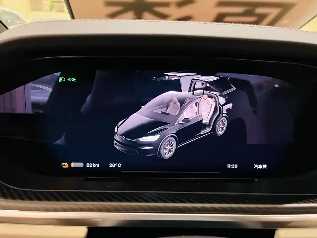 Tesla Model X — фото 10