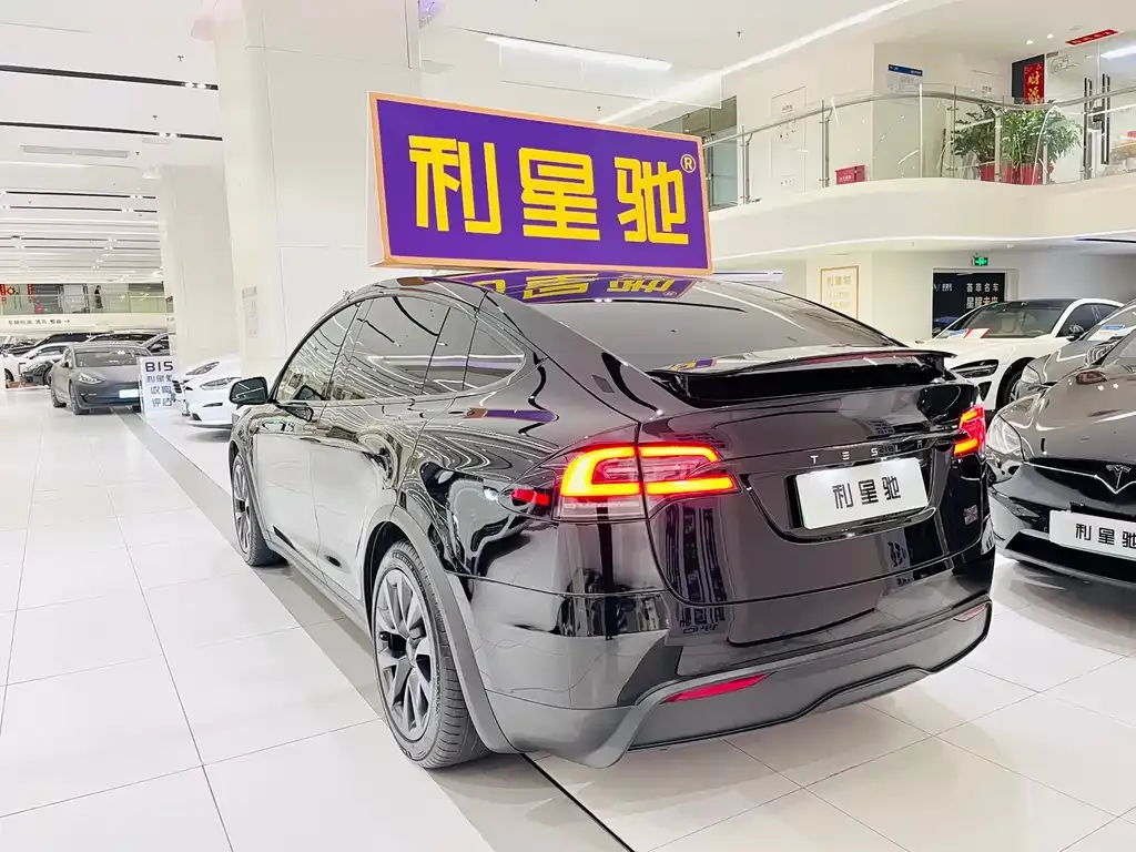 Tesla Model X — фото 3