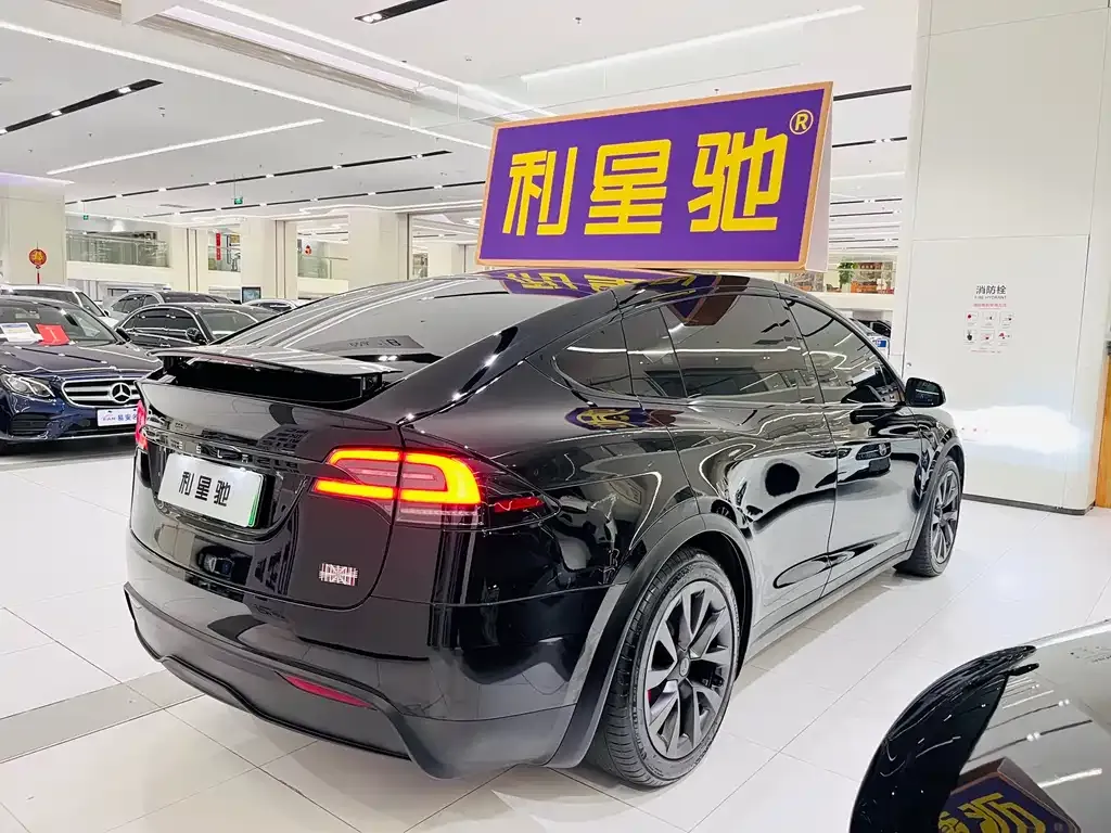 Tesla Model X — фото 4