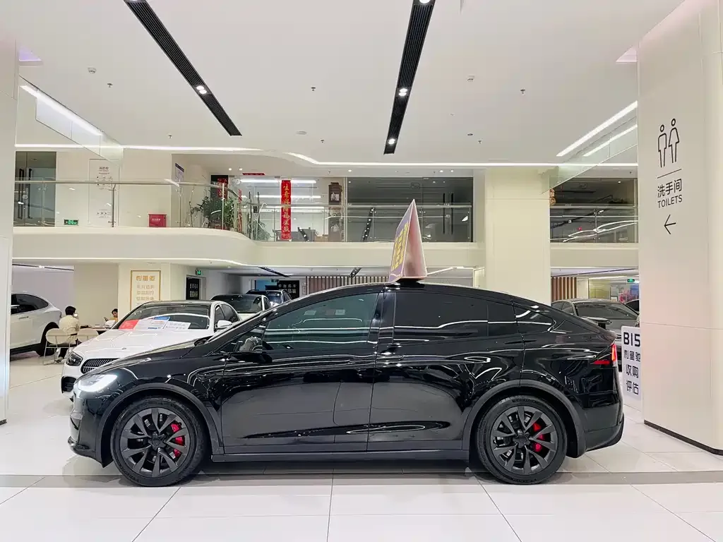Tesla Model X — фото 5
