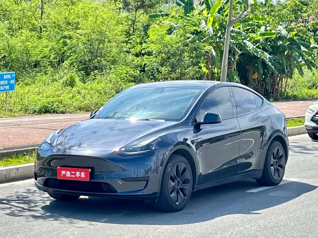 Tesla Model Y 2024 из CN, фото 1