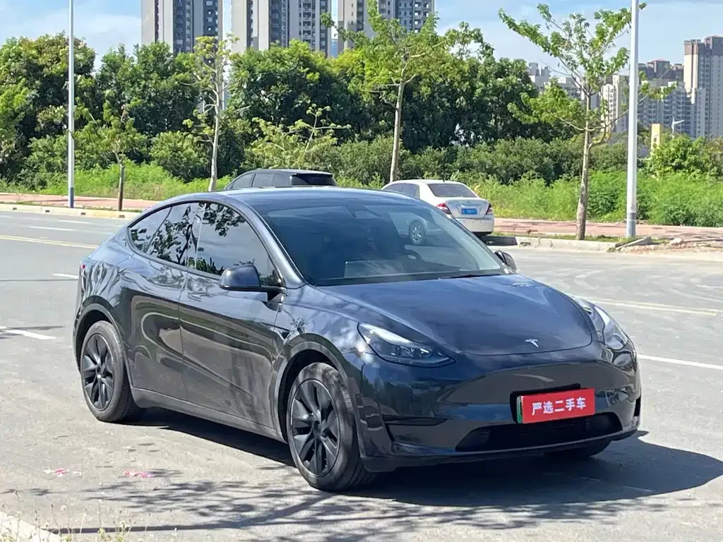 Tesla Model Y 2024 из CN, фото 3
