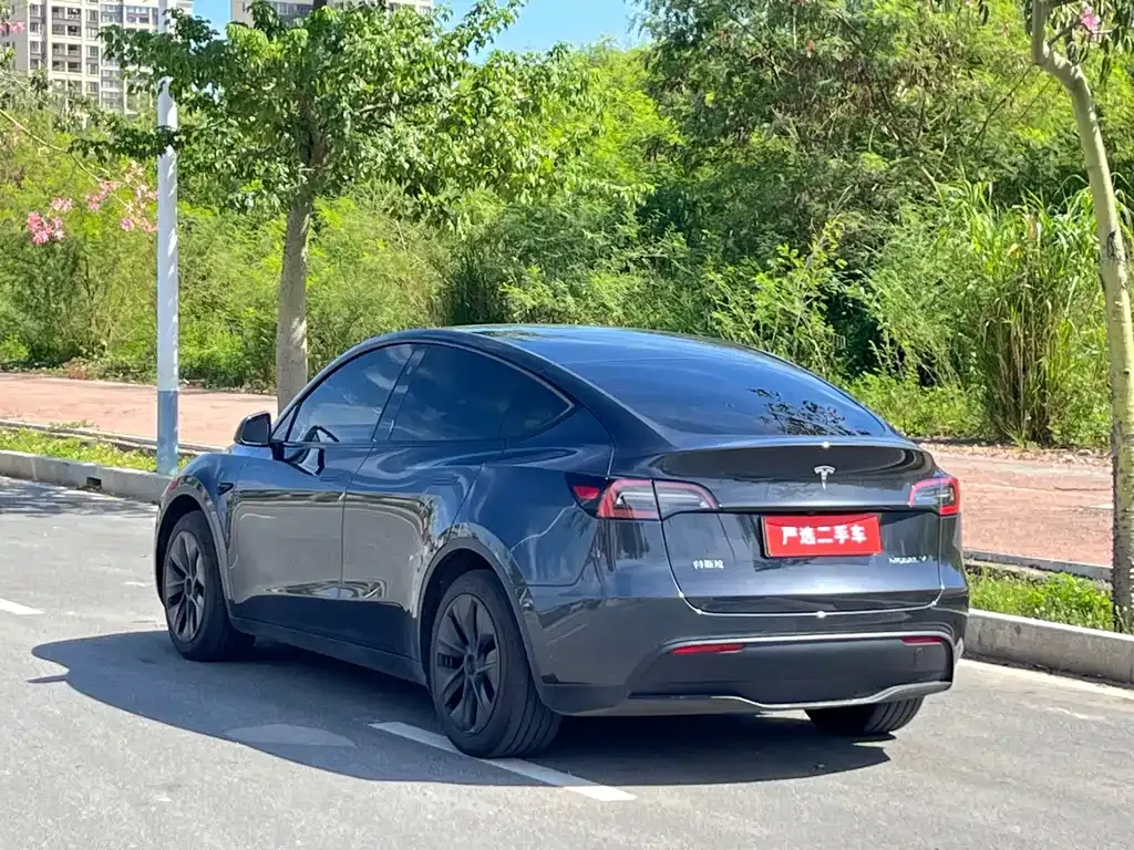 Tesla Model Y 2024 из CN, фото 6
