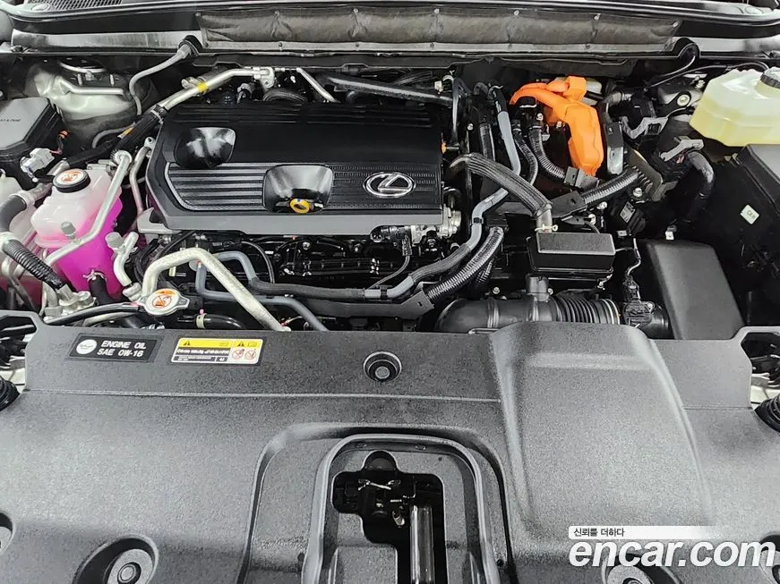 Lexus RX 2025 из KR, фото 7