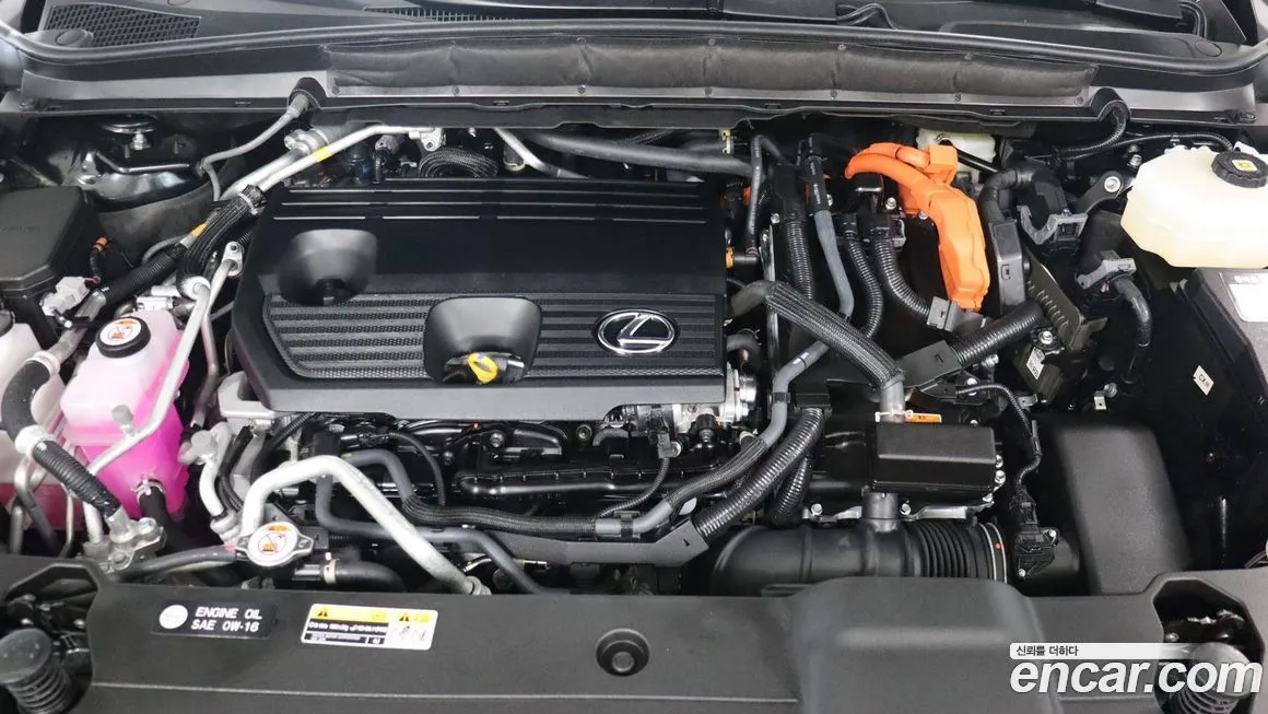 Lexus RX 2024 из KR, фото 6