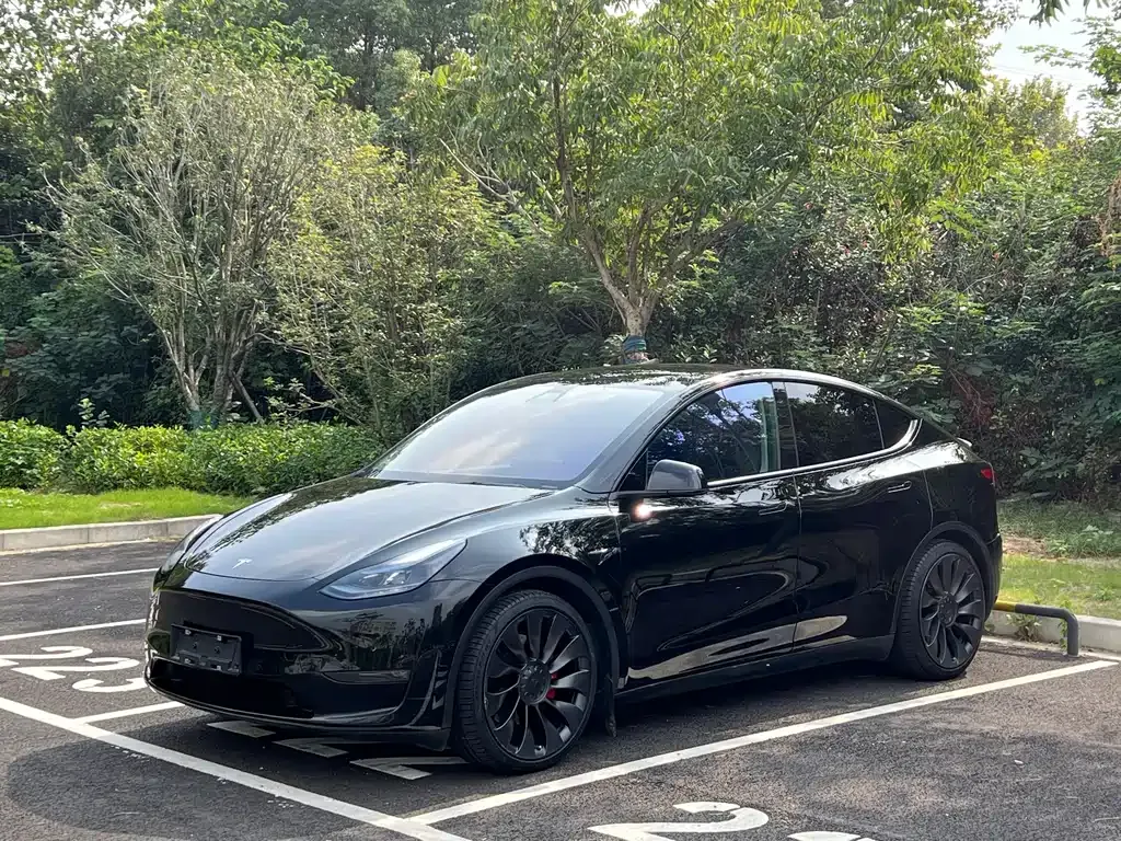 Tesla Model Y 2023 из CN, фото 1