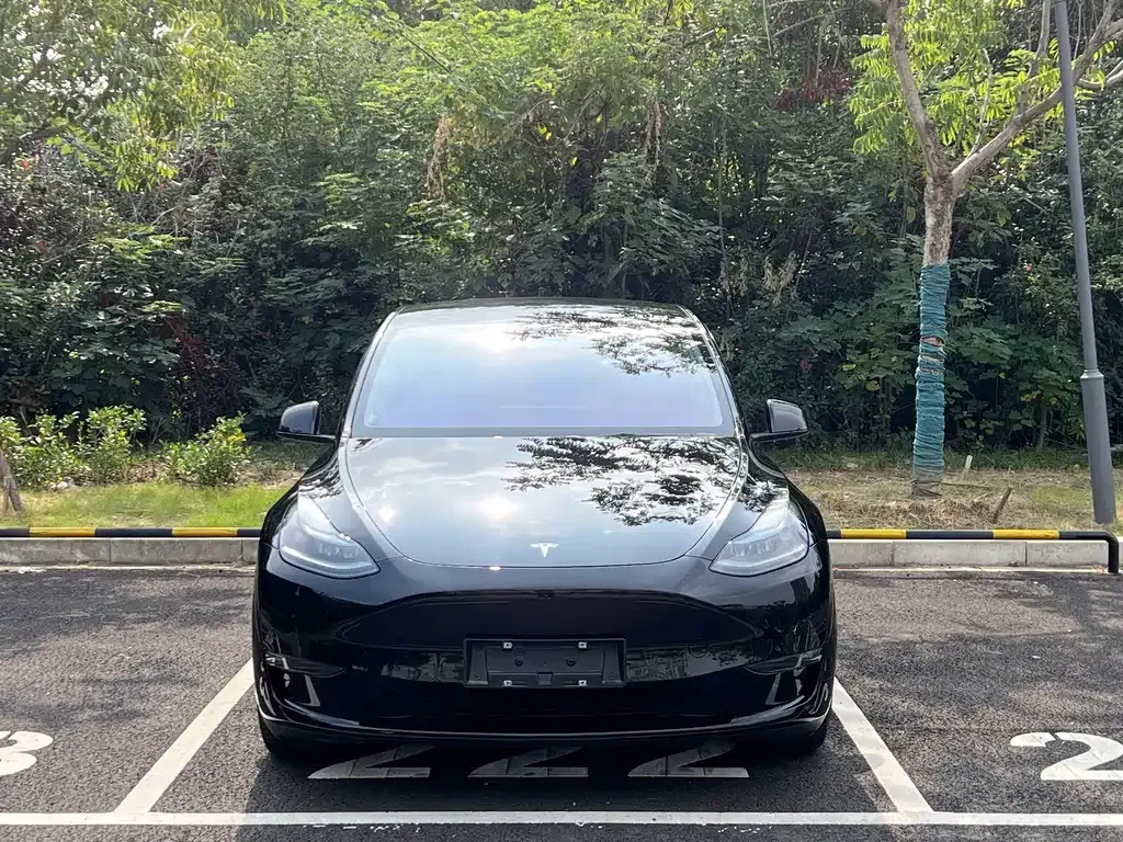 Tesla Model Y 2023 из CN, фото 2