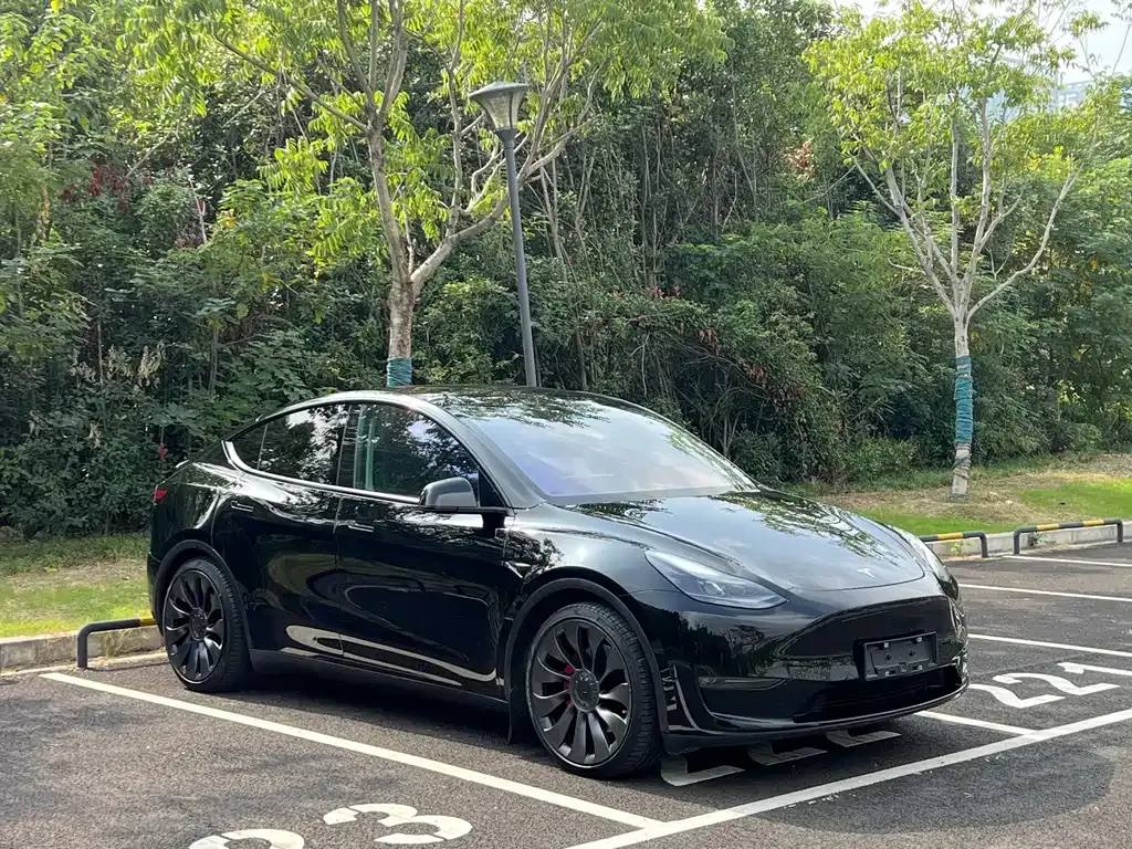 Tesla Model Y 2023 из CN, фото 3
