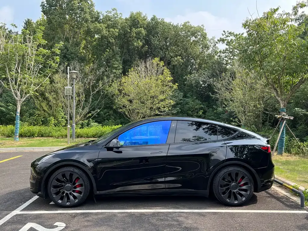 Tesla Model Y 2023 из CN, фото 4