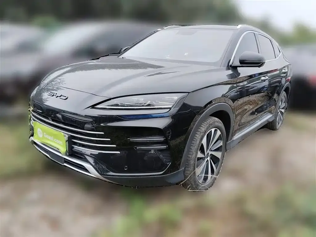 BYD PLUS New Energy 2023 из CN, фото 2