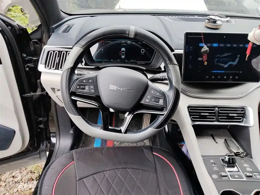 BYD PLUS New Energy 2023 из CN, фото 3