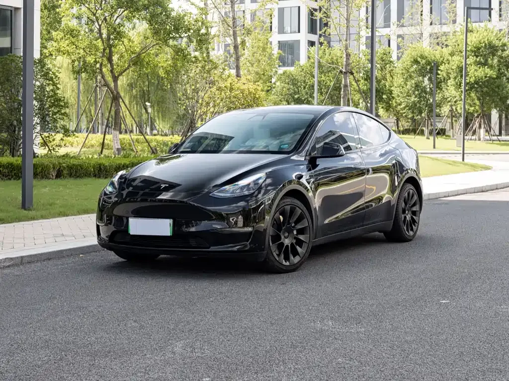 Tesla Model Y 2021 из CN, фото 1