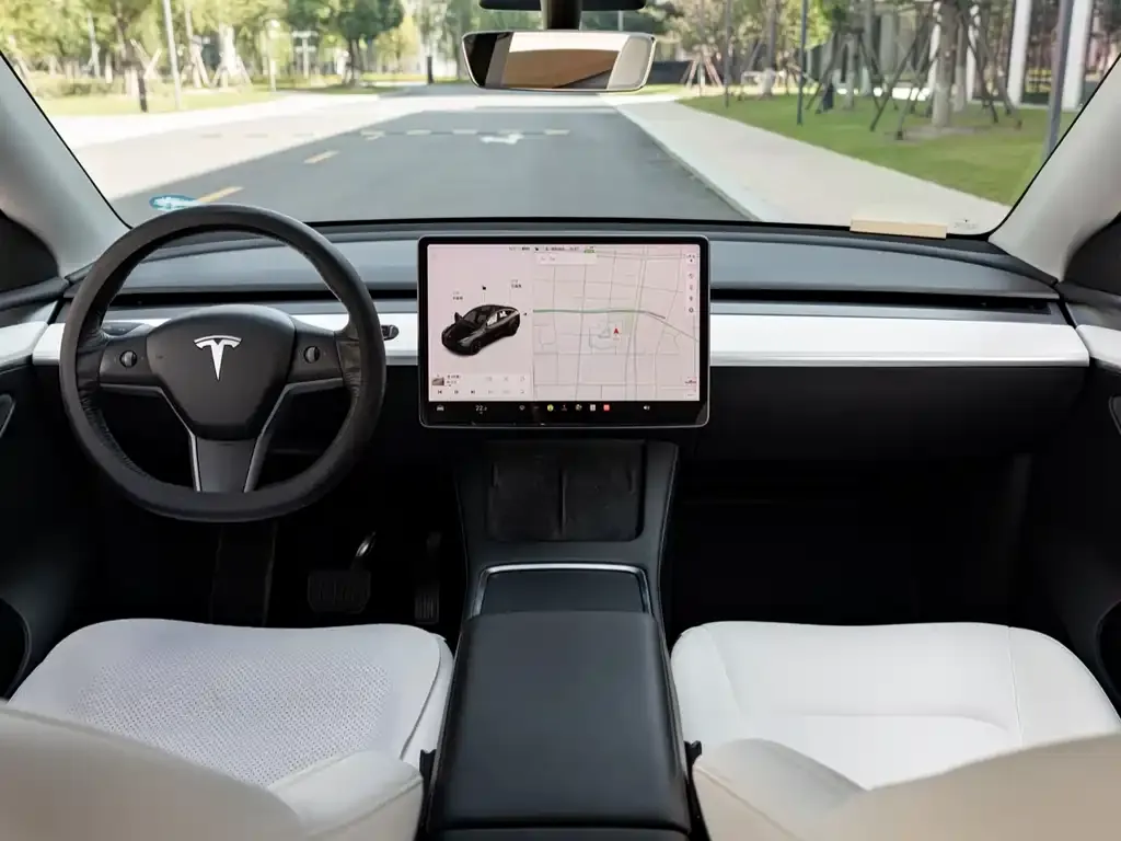 Tesla Model Y 2021 из CN, фото 10