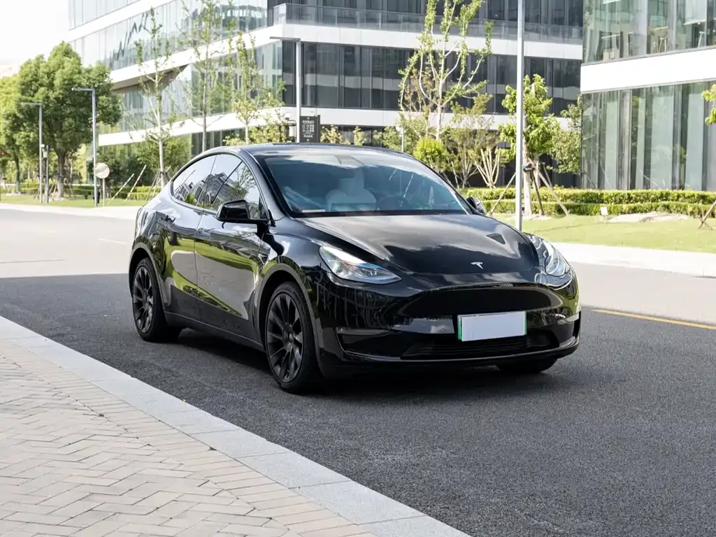 Tesla Model Y 2021 из CN, фото 2