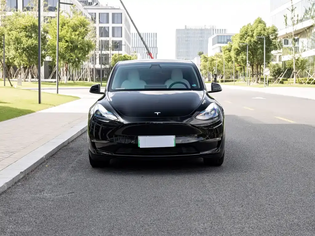 Tesla Model Y 2021 из CN, фото 3