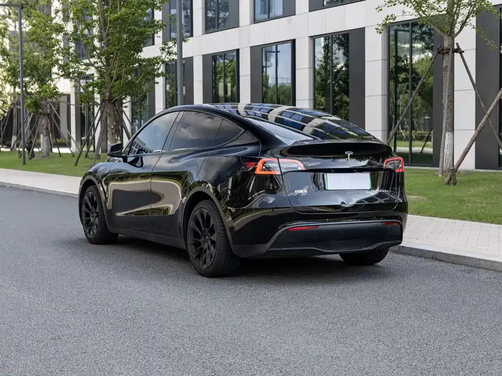 Tesla Model Y 2021 из CN, фото 4