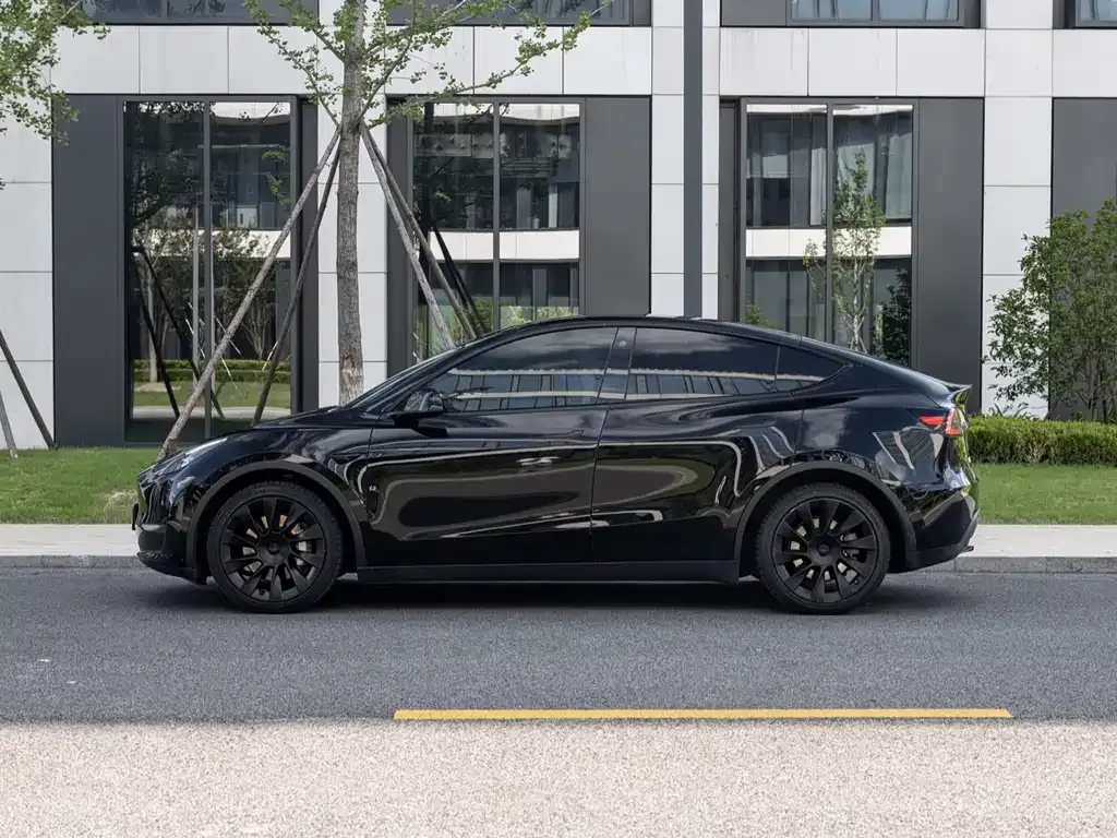 Tesla Model Y 2021 из CN, фото 5