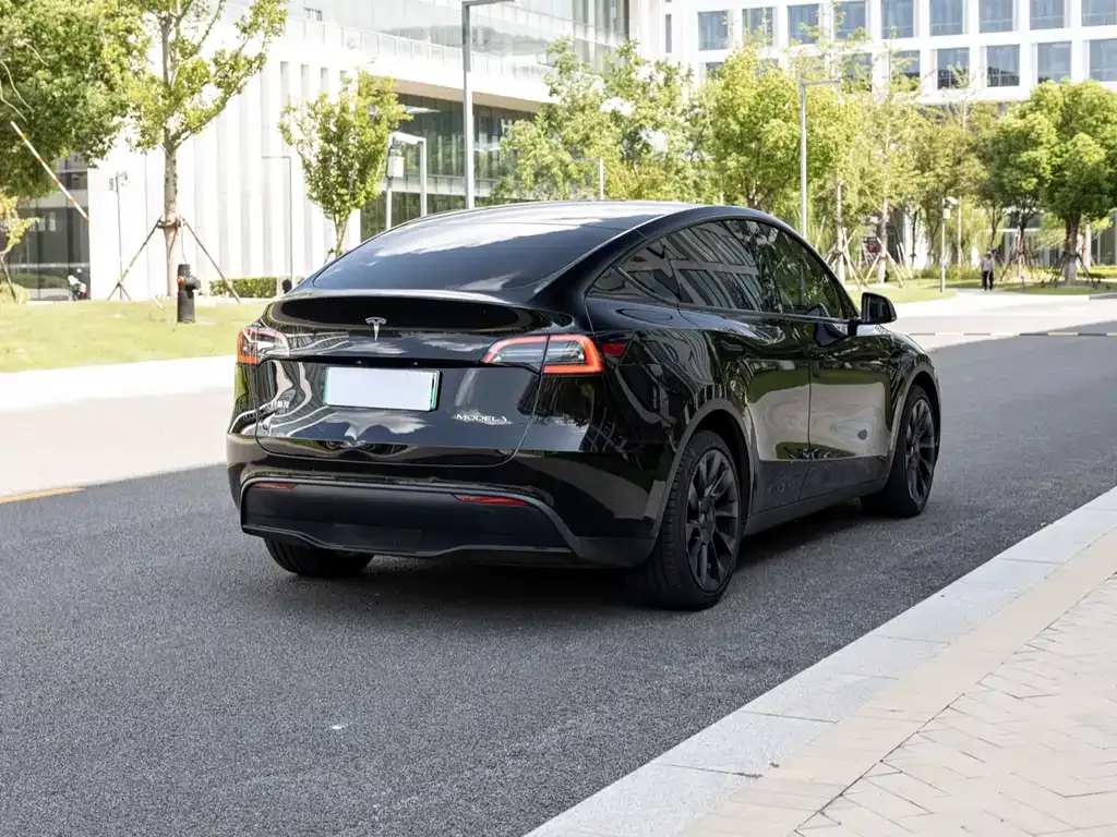 Tesla Model Y 2021 из CN, фото 6
