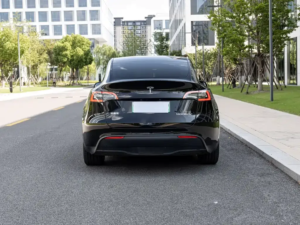 Tesla Model Y 2021 из CN, фото 7