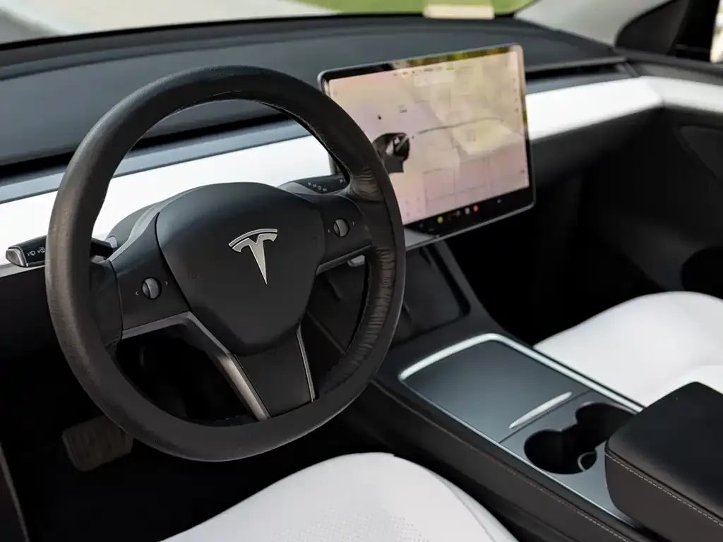 Tesla Model Y 2021 из CN, фото 9