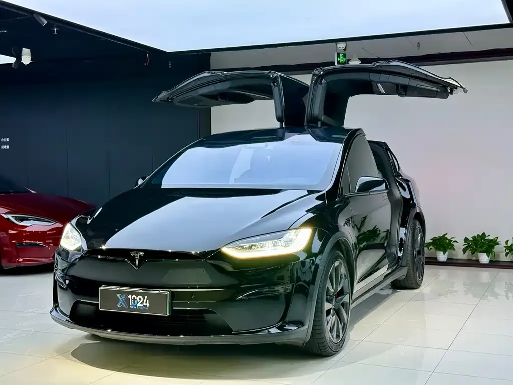 Tesla Model X 2023 из CN, фото 1