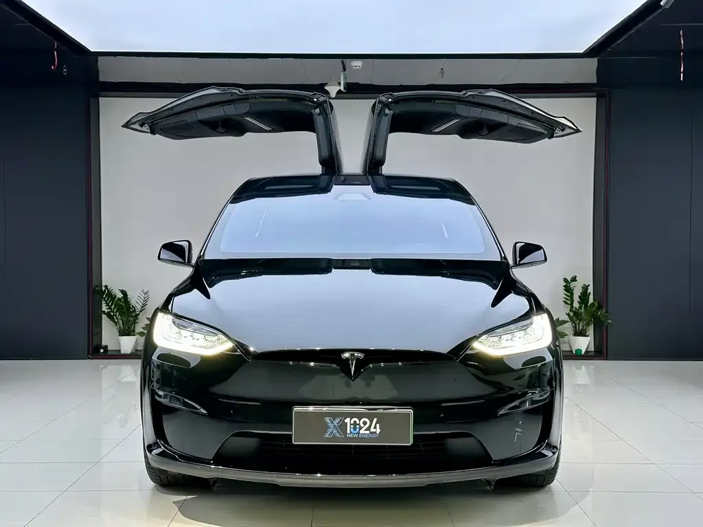 Tesla Model X 2023 из CN, фото 2