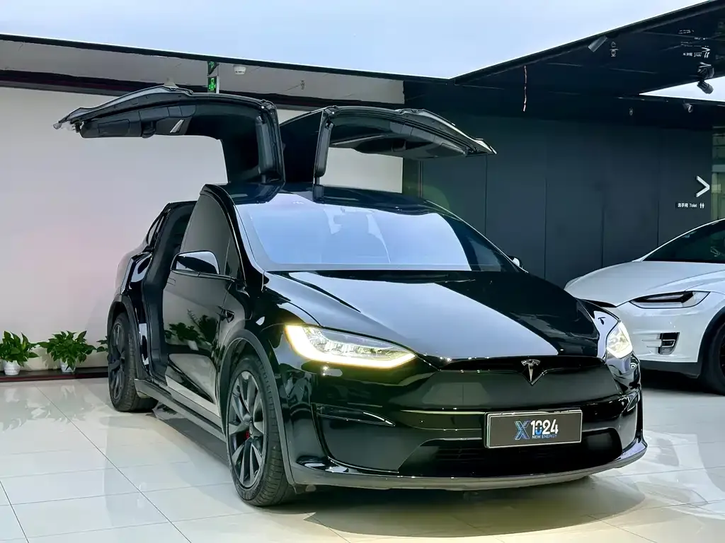 Tesla Model X 2023 из CN, фото 3