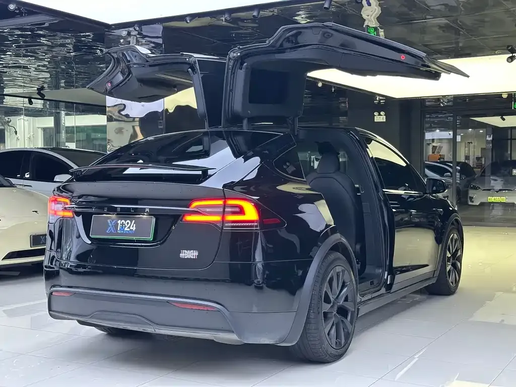 Tesla Model X 2023 из CN, фото 4