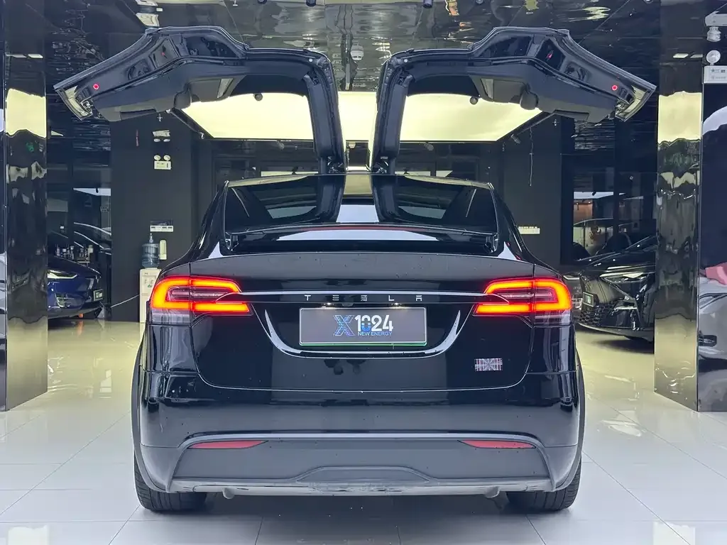 Tesla Model X 2023 из CN, фото 5