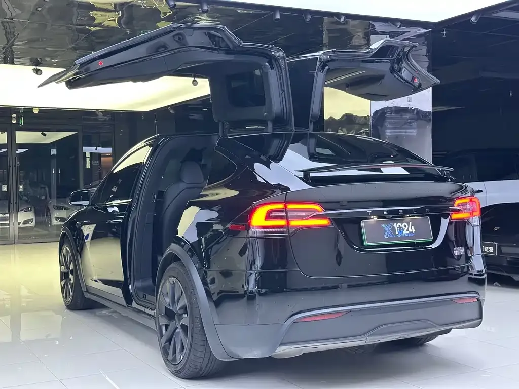 Tesla Model X 2023 из CN, фото 6