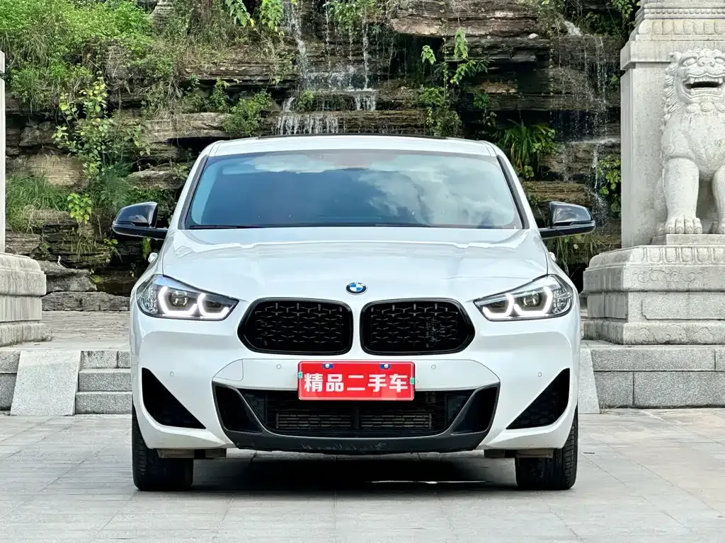 BMW X2 2024 из CN, фото 2