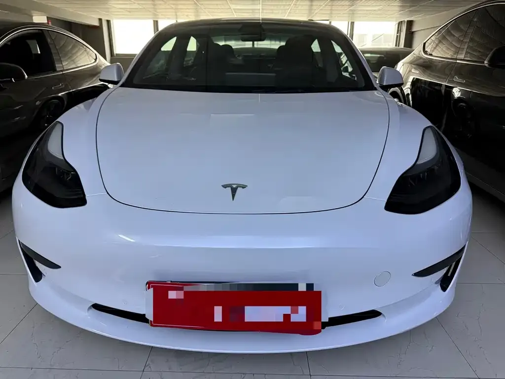 Tesla Model 3 2022 из CN, фото 2