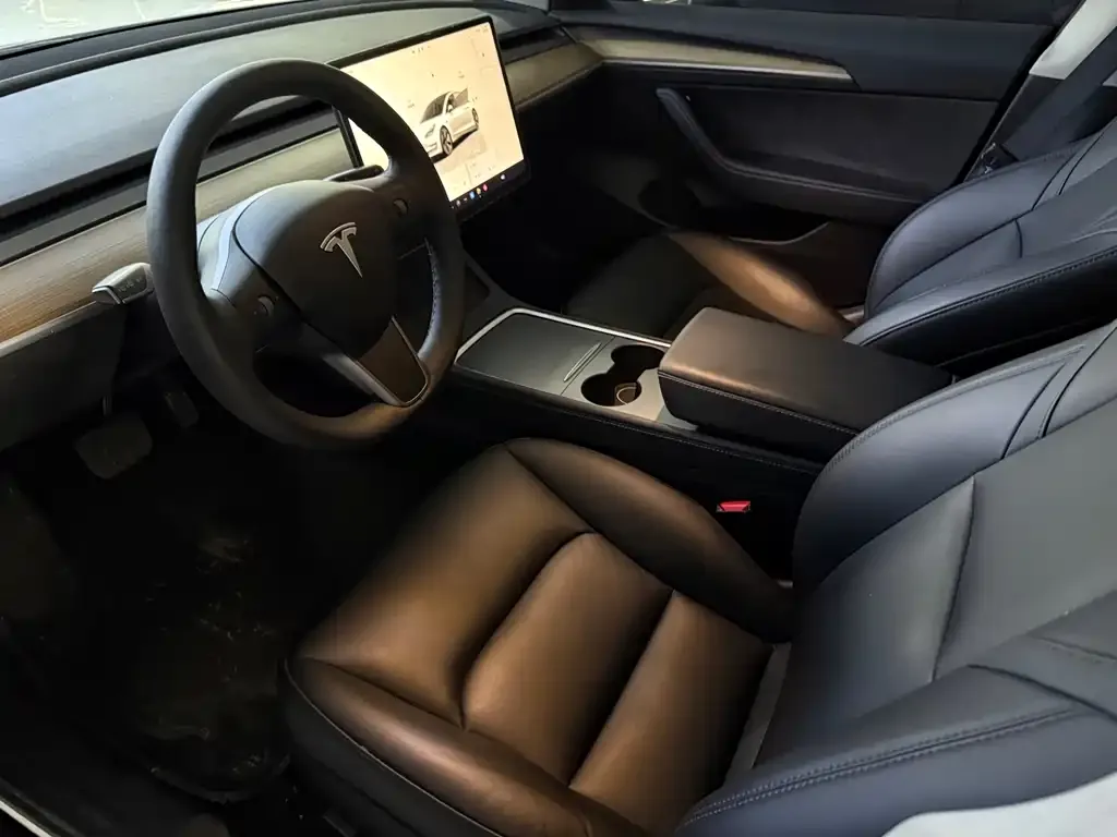 Tesla Model 3 2022 из CN, фото 6