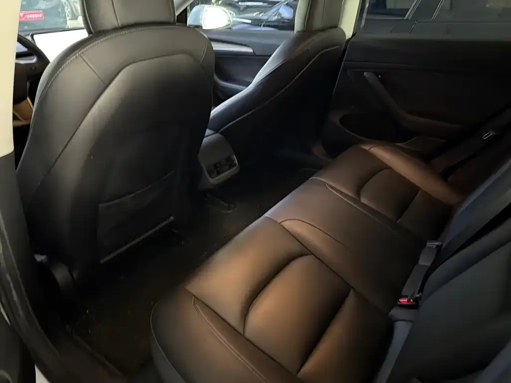 Tesla Model 3 2022 из CN, фото 9