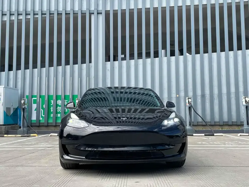 Tesla Model 3 2023 из CN, фото 2