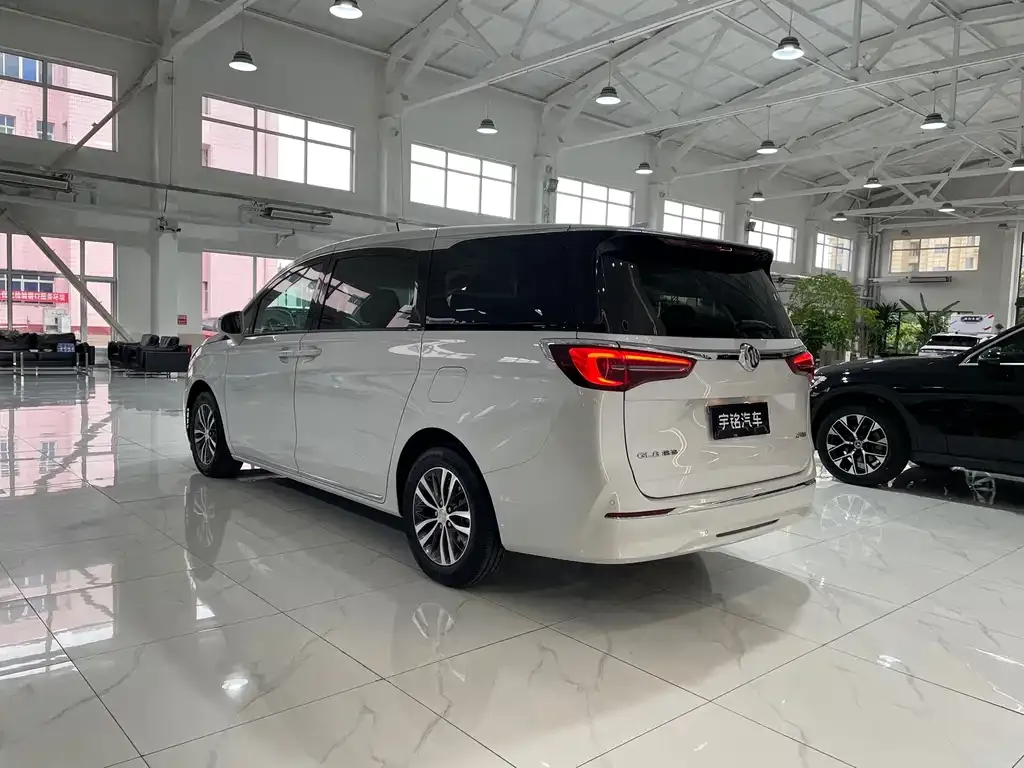 Buick GL8 2024 из CN, фото 4